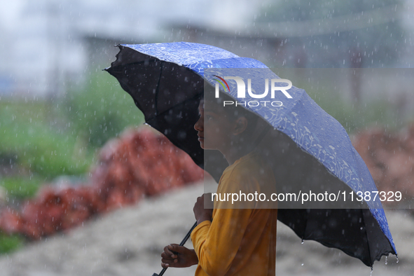 A Nepali boy is wearing an umbrella in Lalitpur, Nepal, on July 6, 2024. With the onset of the monsoon in Nepal about a month ago, the Kathm...