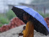 A Nepali boy is wearing an umbrella in Lalitpur, Nepal, on July 6, 2024. With the onset of the monsoon in Nepal about a month ago, the Kathm...