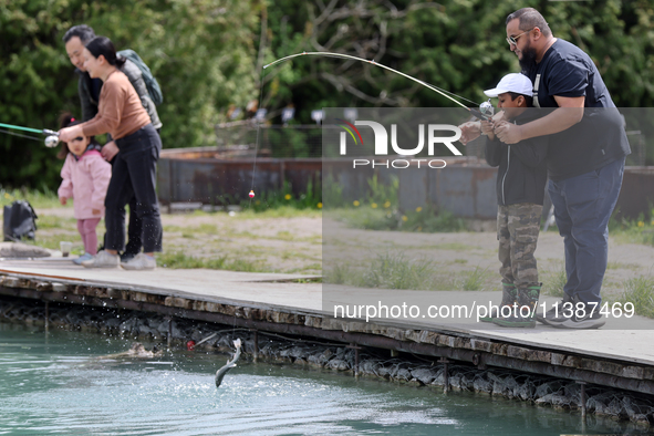 People are fishing for rainbow trout at a pond in Stouffville, Ontario, Canada, on May 12, 2024. 