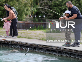 People are fishing for rainbow trout at a pond in Stouffville, Ontario, Canada, on May 12, 2024. (