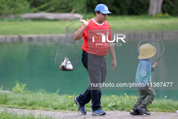 A man is holding a basket with freshly caught rainbow trout at a pond in Stouffville, Ontario, Canada, on May 12, 2024. 