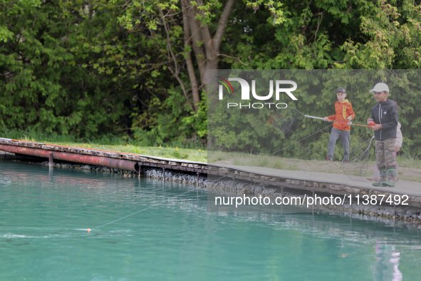 Children are fishing for rainbow trout at a pond in Stouffville, Ontario, Canada, on May 12, 2024. 