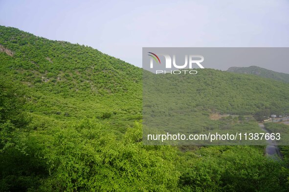 A view of green Pushkar Valley after the monsoon rain in Pushkar, India, on July 6, 2024. 