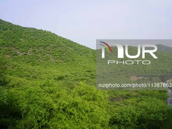 A view of green Pushkar Valley after the monsoon rain in Pushkar, India, on July 6, 2024. (