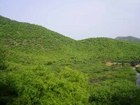 A view of green Pushkar Valley after the monsoon rain in Pushkar, India, on July 6, 2024. (