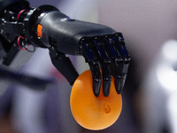 A hand from a humanoid robot is picking up a ball at the World Artificial Intelligence Conference at the Shanghai World Expo Exhibition Cent...