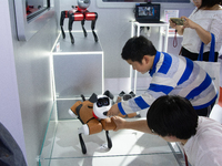 A kid is interacting with a voice command robotic dog toy at the Alibaba stand at the World Artificial Intelligence Conference at the Shangh...