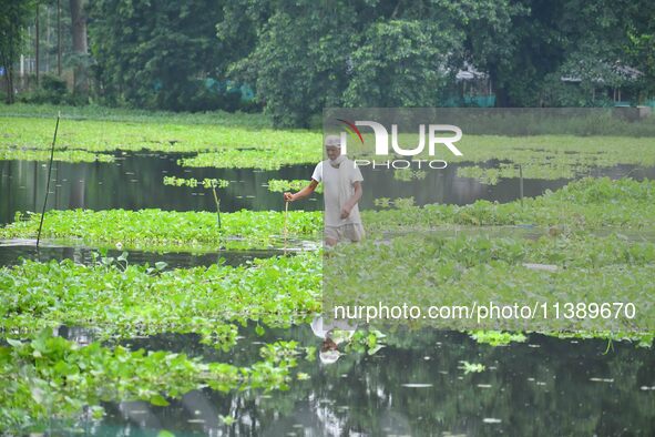 A man is walking through a flooded road after heavy rainfall in Nagaon District of Assam, India, on July 7, 2024. 