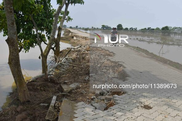 A man is riding a bike on a road damaged by flood in Nagaon District of Assam, India, on July 7, 2024. 