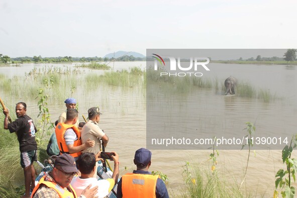 Forest officials are trying to chase away a wild elephant who is coming down in search of food at Barhardia near Hajo in Kamrup district of...