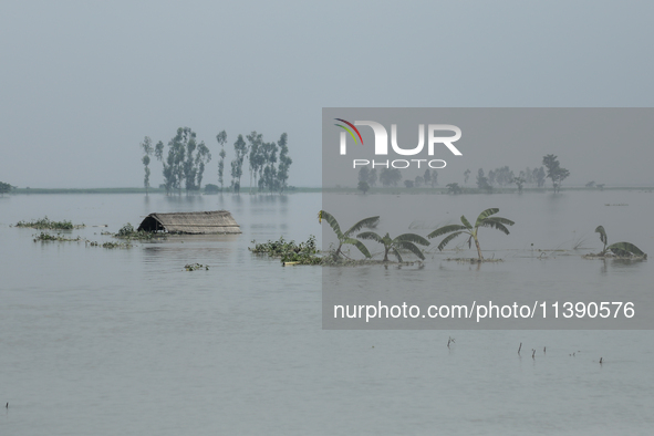 A house is being submerged by flood water in Kurigram, Bangladesh, on July 7, 2024. 