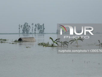 A house is being submerged by flood water in Kurigram, Bangladesh, on July 7, 2024. (