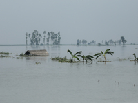 A house is being submerged by flood water in Kurigram, Bangladesh, on July 7, 2024. (