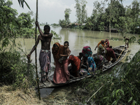 People are migrating locally to high land as their homes are being submerged by flood water in Kurigram, Bangladesh, on July 7, 2024. (