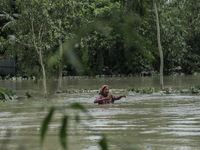 A woman is walking through chest-height flood water in Kurigram, Bangladesh, on July, 2024. (