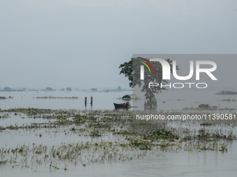 A family is taking shelter under a tree by boat as a house is seen submerged by flood water in Kurigram, Bangladesh, on July 7, 2024. (