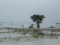 A family is taking shelter under a tree by boat as a house is seen submerged by flood water in Kurigram, Bangladesh, on July 7, 2024. (