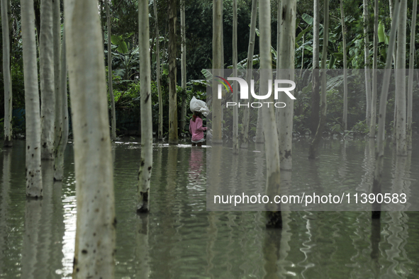 A man is carrying essential goods while walking past flooded water in Kurigram, Bangladesh, on July 7, 2024. 