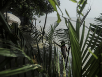 A girl is trying to hold the branch of a young tree as the flood water is approaching her house in Kurigram, Bangladesh, on July 8, 2024. (