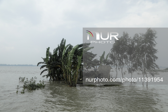 A house is being submerged by flood water in Kurigram, Bangladesh, on July 08, 2024. 