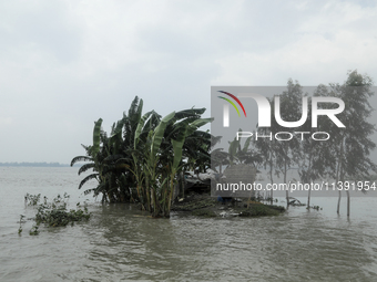 A house is being submerged by flood water in Kurigram, Bangladesh, on July 08, 2024. (