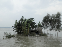 A house is being submerged by flood water in Kurigram, Bangladesh, on July 08, 2024. (