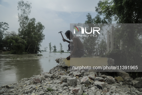 A man is demolishing the remaining structure of his house, washed off by flood water in Kurigram, Bangladesh, on July 8, 2024. 