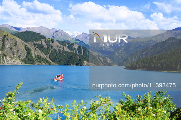 Tourists are visiting the Tianchi Scenic spot in Fukang, China, on July 8, 2024. 