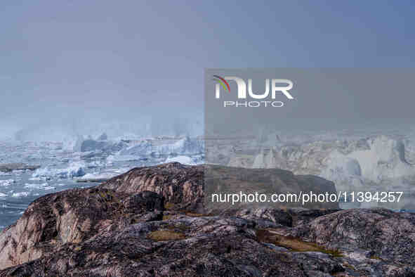 The Ilulissat Icefjord, also known as Sermeq Kujalleq, is draining approximately 7% of Greenland's ice sheet in Ilulissat, Greenland, on Jun...