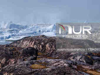 The Ilulissat Icefjord, also known as Sermeq Kujalleq, is draining approximately 7% of Greenland's ice sheet in Ilulissat, Greenland, on Jun...