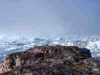 The Ilulissat Icefjord, also known as Sermeq Kujalleq, is draining approximately 7% of Greenland's ice sheet in Ilulissat, Greenland, on Jun...