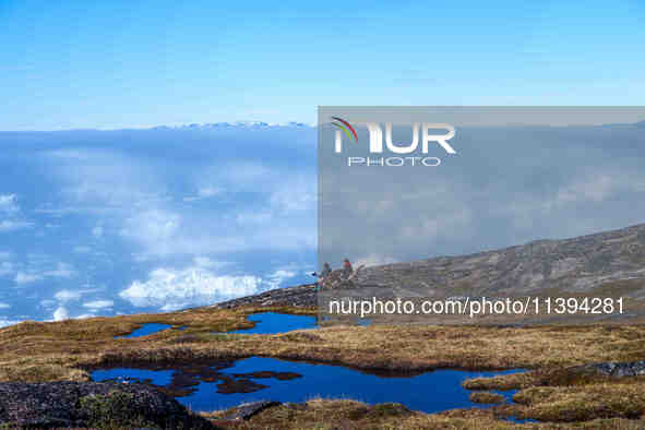 The Ilulissat Icefjord, also known as Sermeq Kujalleq, is draining approximately 7% of Greenland's ice sheet in Ilulissat, Greenland, on Jun...