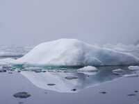 The Ilulissat Icefjord, also known as Sermeq Kujalleq, is draining approximately 7% of Greenland's ice sheet. This glacier, the largest outs...