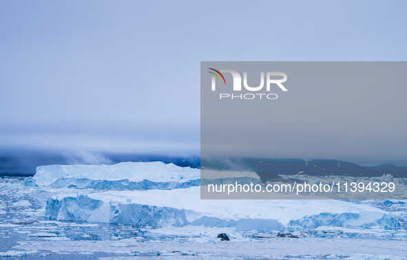 The Ilulissat Icefjord, also known as Sermeq Kujalleq, is draining approximately 7% of Greenland's ice sheet. This glacier, the largest outs...