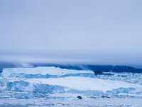 The Ilulissat Icefjord, also known as Sermeq Kujalleq, is draining approximately 7% of Greenland's ice sheet. This glacier, the largest outs...