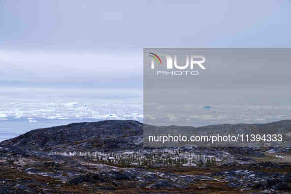 The Ilulissat Icefjord, also known as Sermeq Kujalleq, is draining approximately 7% of Greenland's ice sheet. This glacier, the largest outs...