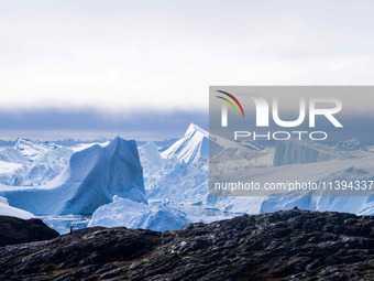 The Ilulissat Icefjord, also known as Sermeq Kujalleq, is draining approximately 7% of Greenland's ice sheet. This glacier, the largest outs...