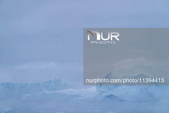 The Ilulissat Icefjord, also known as Sermeq Kujalleq, is draining approximately 7% of Greenland's ice sheet. This glacier, the largest outs...