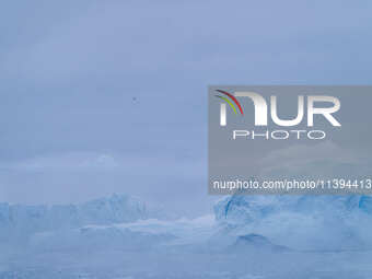 The Ilulissat Icefjord, also known as Sermeq Kujalleq, is draining approximately 7% of Greenland's ice sheet. This glacier, the largest outs...