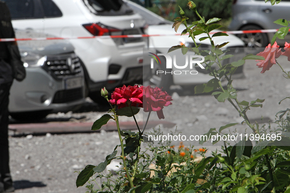 Red roses are growing outside an apartment block damaged by the Russian missile attack in Dnipro, Ukraine, on July 8, 2024. NO USE RUSSIA. N...