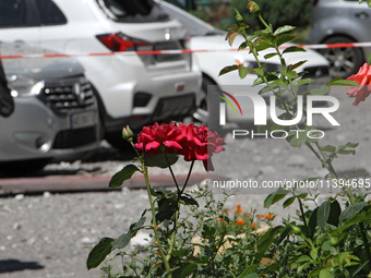 Red roses are growing outside an apartment block damaged by the Russian missile attack in Dnipro, Ukraine, on July 8, 2024. NO USE RUSSIA. N...