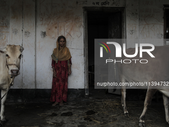 Hosne Ara is standing with her cows in a temporary flood shelter center in Jamalpur, Bangladesh, on July 9, 2024. (