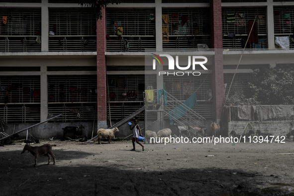 A boy is walking past a temporary flood shelter center to collect fresh drinking water in Jamalpur, Bangladesh, on July 09, 2024. 