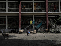 A boy is walking past a temporary flood shelter center to collect fresh drinking water in Jamalpur, Bangladesh, on July 09, 2024. (