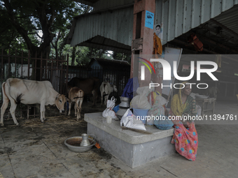 Rowshon Islam (56) is sitting with her cows and belongings at a railway station as a refugee as her house is being washed away by flood wate...