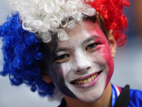 French supporter prior the UEFA EURO 2024 semi-final match between Spain v France at Munich Football Arena on July 9, 2024 in Munich, German...