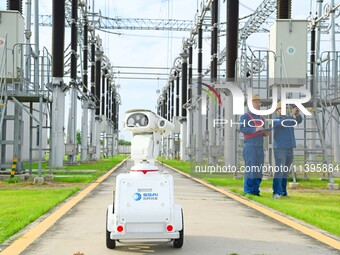 A 5G intelligent robot and operation and maintenance personnel are carrying out a special inspection of the power supply equipment in a 500-...