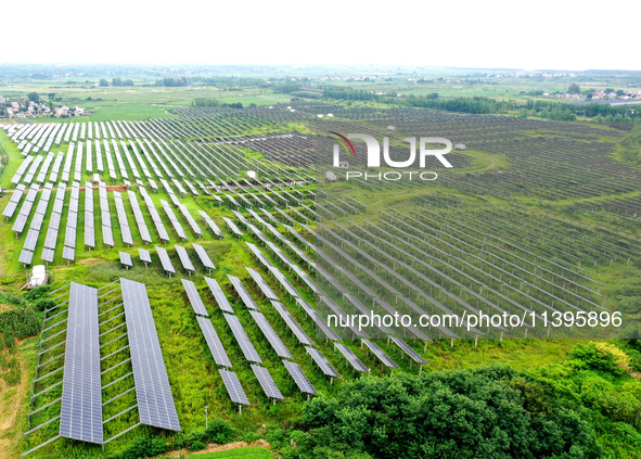 A photovoltaic power station is being shown in Ligang village, Chaohu city, East China's Anhui province, on July 9, 2024. 