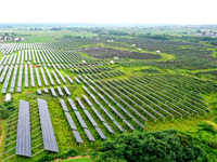 A photovoltaic power station is being shown in Ligang village, Chaohu city, East China's Anhui province, on July 9, 2024. (