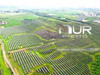 A photovoltaic power station is being shown in Ligang village, Chaohu city, East China's Anhui province, on July 9, 2024. (